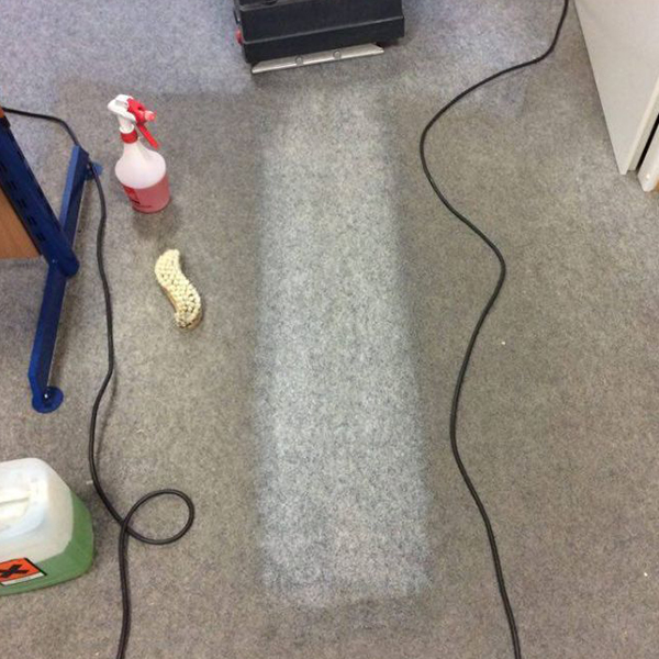 Schmutziger Teppichboden mit hellem Streifen, wo bereits gereinigt wurde